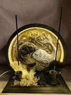 Balık Burcu Özel Tasarım Neon LED Tütsülük | Hem Geriye Akış Hem Çubuk Tütsü 🌙 - Işıklı