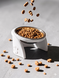 Pixi Kedi Mama Kabı Standı – %13 Eğimli Ergonomik Tasarım, PETG Gövde + Paslanmaz Çelik Kase Beyaz
