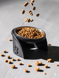 Pixi Kedi Mama Kabı Standı – %13 Eğimli Ergonomik Tasarım, PETG Gövde + Paslanmaz Çelik Kase Siyah