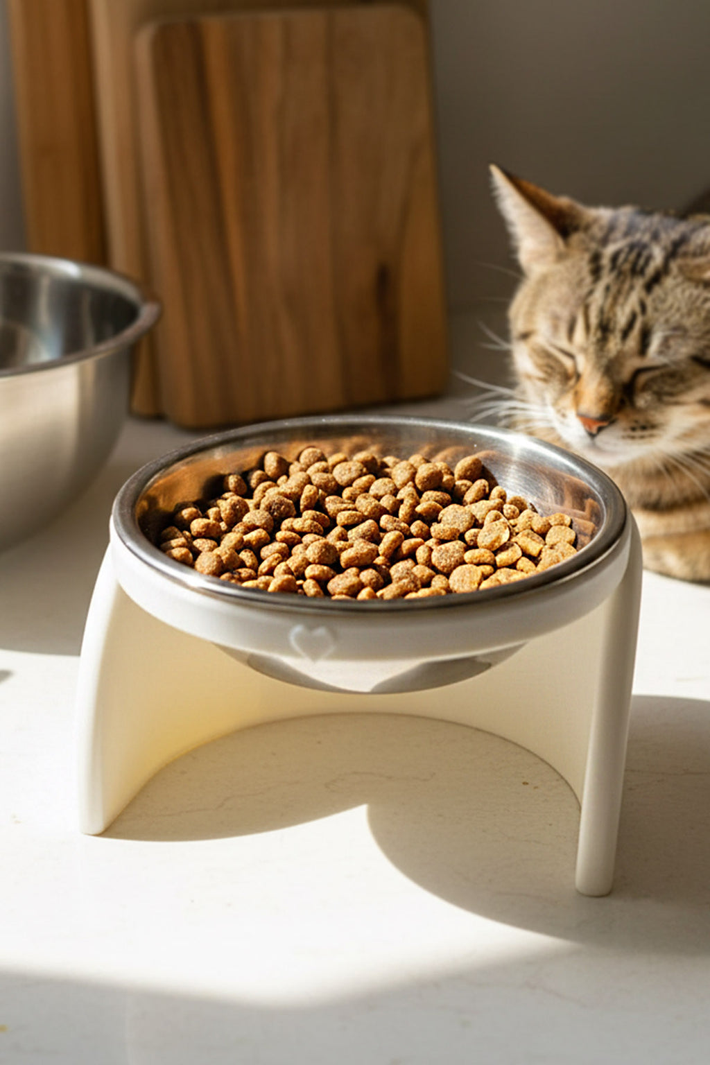 Pixi Kedi Mama Kabı Standı – %13 Eğimli Ergonomik Tasarım, PETG Gövde + Paslanmaz Çelik Kase Beyaz
