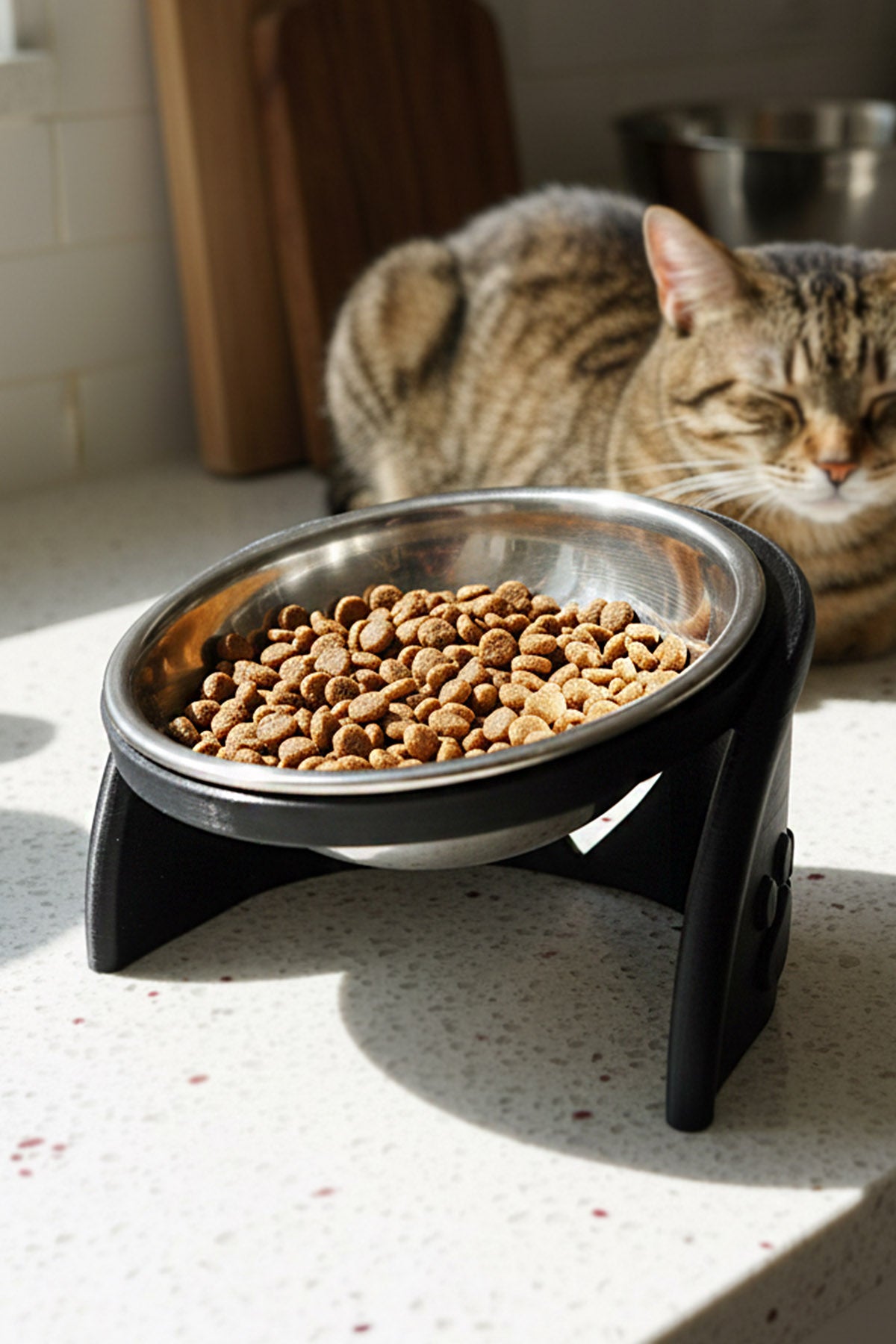 Pixi Kedi Mama Kabı Standı – %13 Eğimli Ergonomik Tasarım, PETG Gövde + Paslanmaz Çelik Kase Siyah