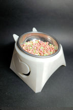 Luci Yüksek Ayaklı Kedi Mama Kabı - Boyun Koruyucu Eğik Tasarım - Anti-Stres Metal Kase