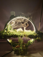 Büyülü Diyarın Işıltısı Masalsı Orman Tütsülüğü - LED Işıklı Tütsülüklü