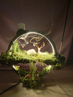 Büyülü Diyarın Işıltısı Masalsı Orman Tütsülüğü - LED Işıklı Tütsülüklü