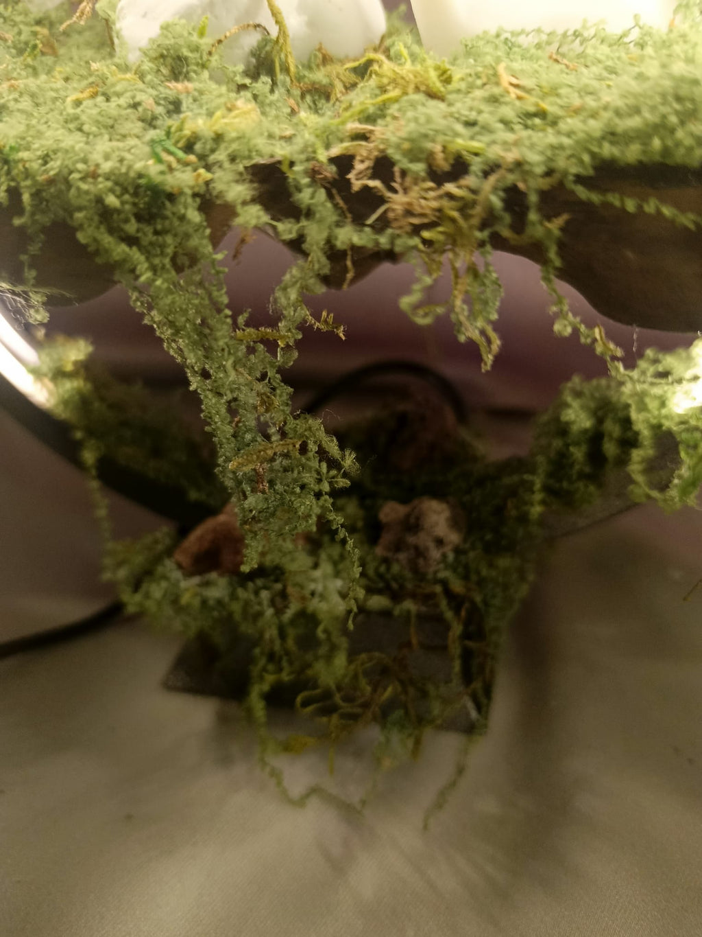 Büyülü Diyarın Işıltısı Masalsı Orman Tütsülüğü - LED Işıklı Tütsülüklü