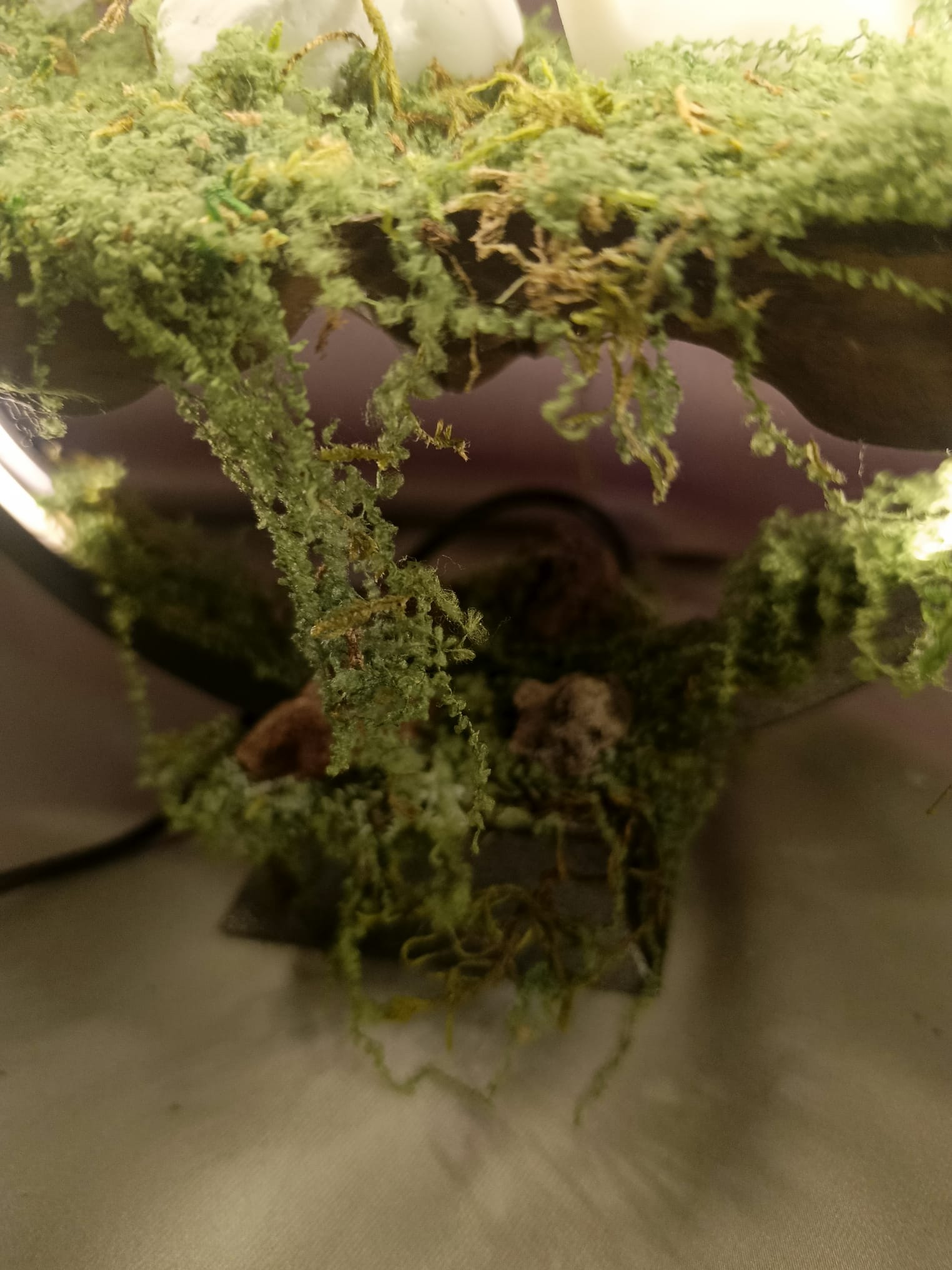 Büyülü Diyarın Işıltısı Masalsı Orman Tütsülüğü - LED Işıklı Tütsülüklü